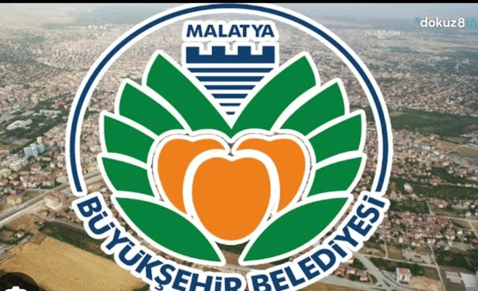 60586