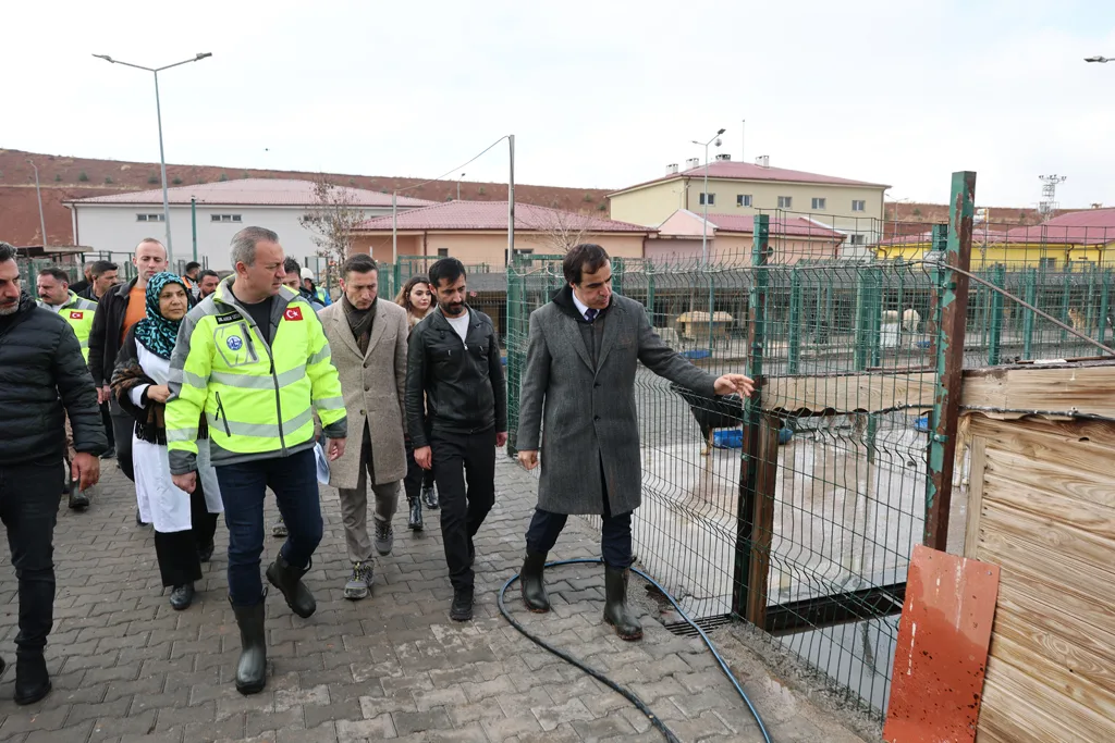 SOKAK HAYVANLARI İÇİN MODERN, SAĞLIKLI VE DOĞAL YAŞAM PROJESİ BAŞLADI...