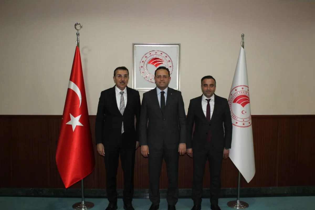 Akçadağ Küçük Sanayi Sitesi İçin Arazi Sorunu Çözülüyor 