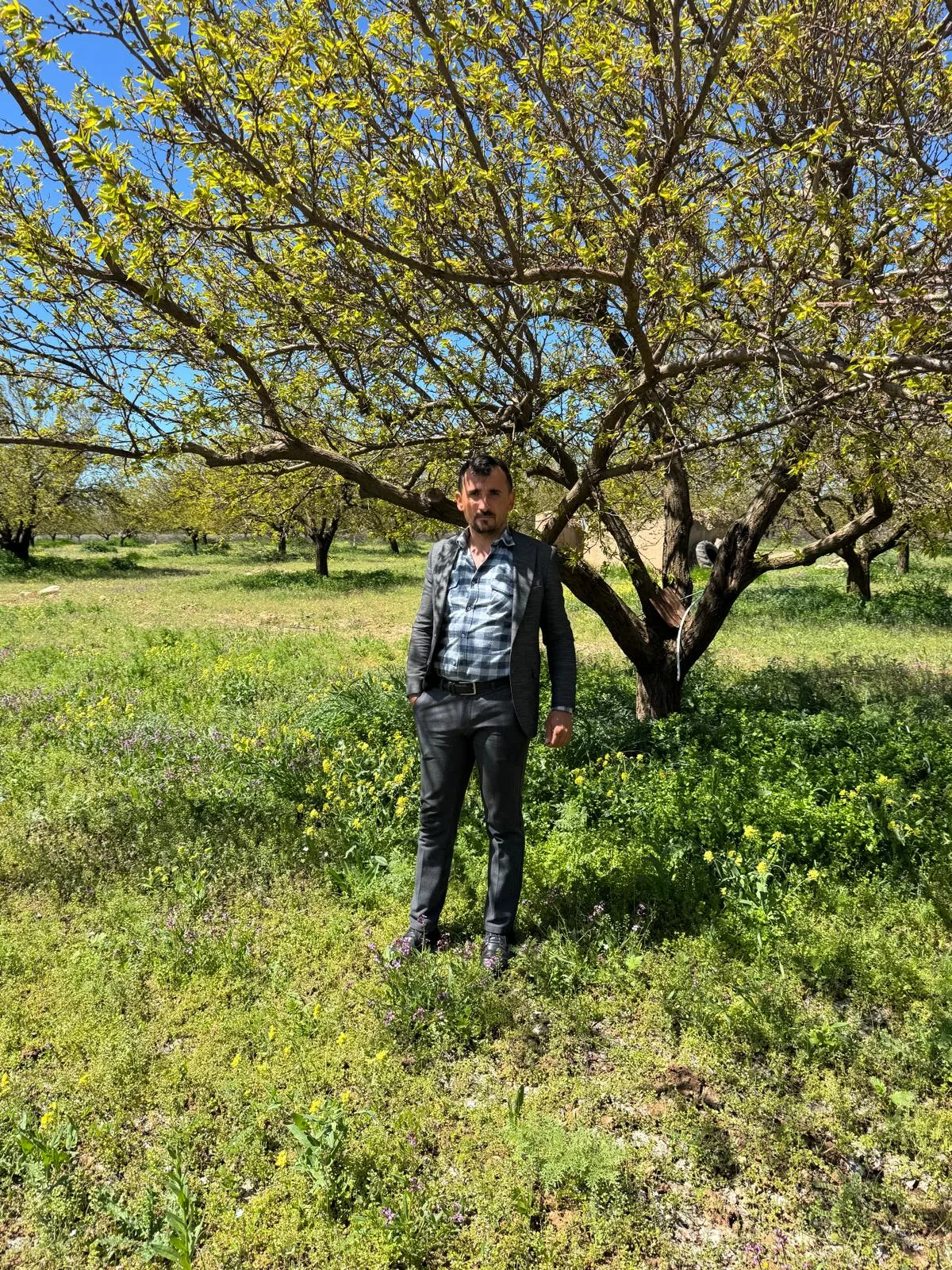 Malatya çiftçisi zor durumda