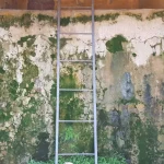 Su Kıtlığına Giden Yolda Kurtarıcı Güç: Yağmur Suyu Hasadı