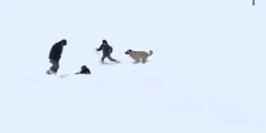 Arguvan’da Kar Neşesi: Çocuklar Oynadı, Köpek de Onlara Katıldı