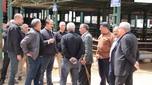 Şevket Keskin açıkladı: Malatya Hayvan Pazarında tekelleşme iddiaları var Keskin, Köylünün ve besicinin sesi oldu